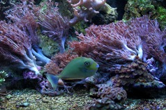 Killikus&reg; Fotographie